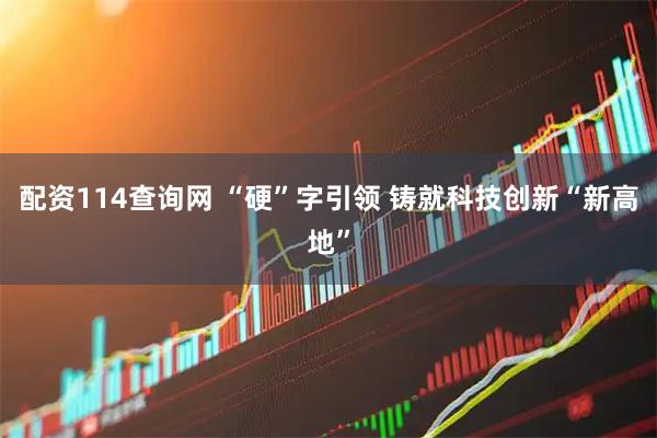 配资114查询网 “硬”字引领 铸就科技创新“新高地”